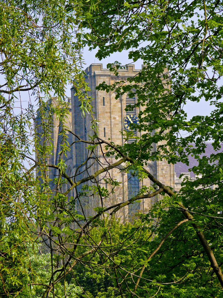 Ripon Cathedral